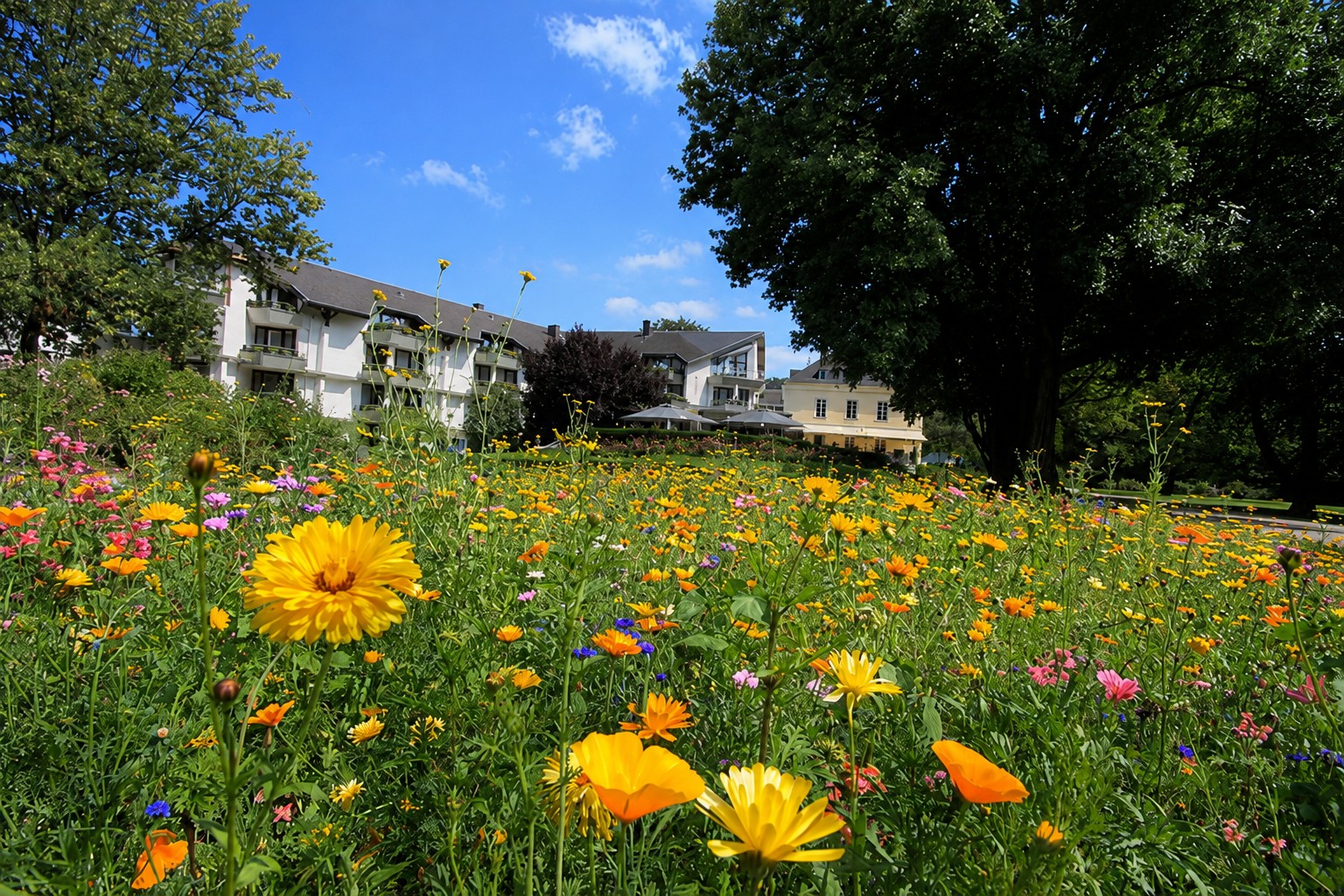 Sommertrip