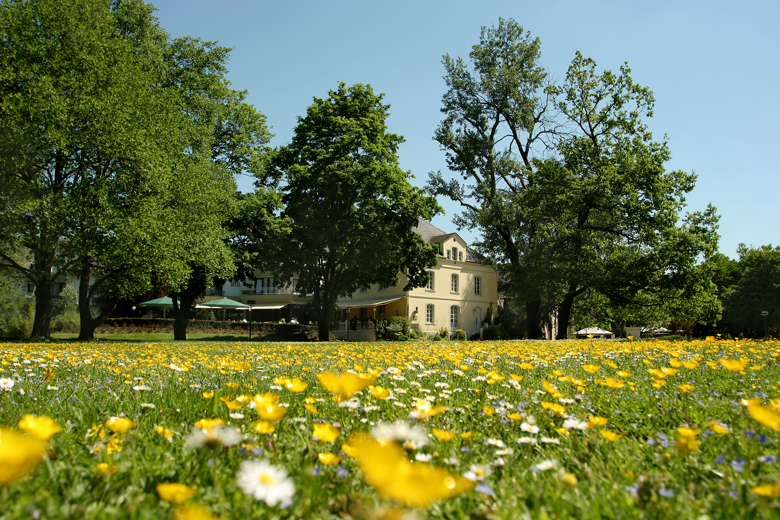 Newsletter abonnieren