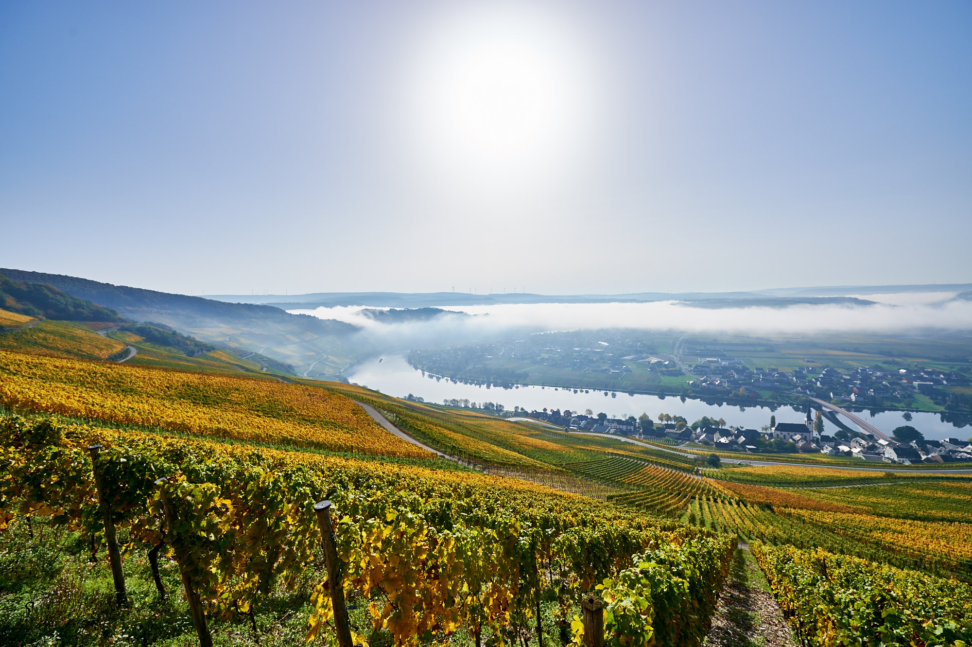 Weinberge Weinwanderung Vinothek Nells Park Hotel in Trier an der Mosel