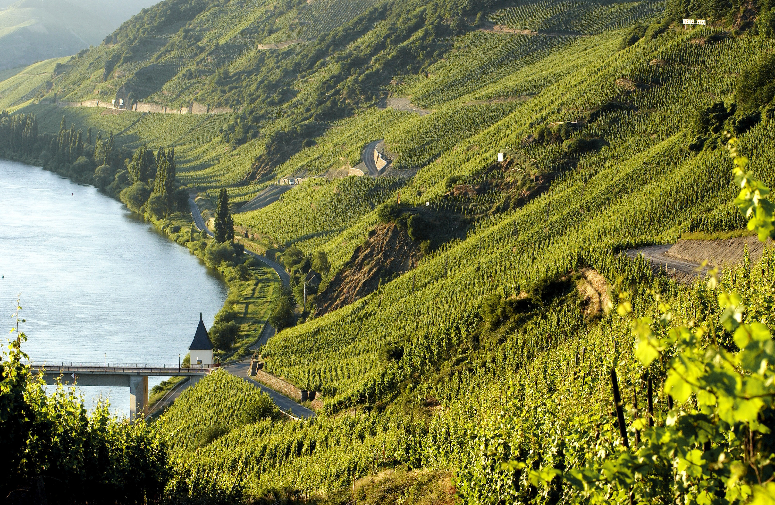 Urlaub im Nells Park Hotel in Trier an der Mosel