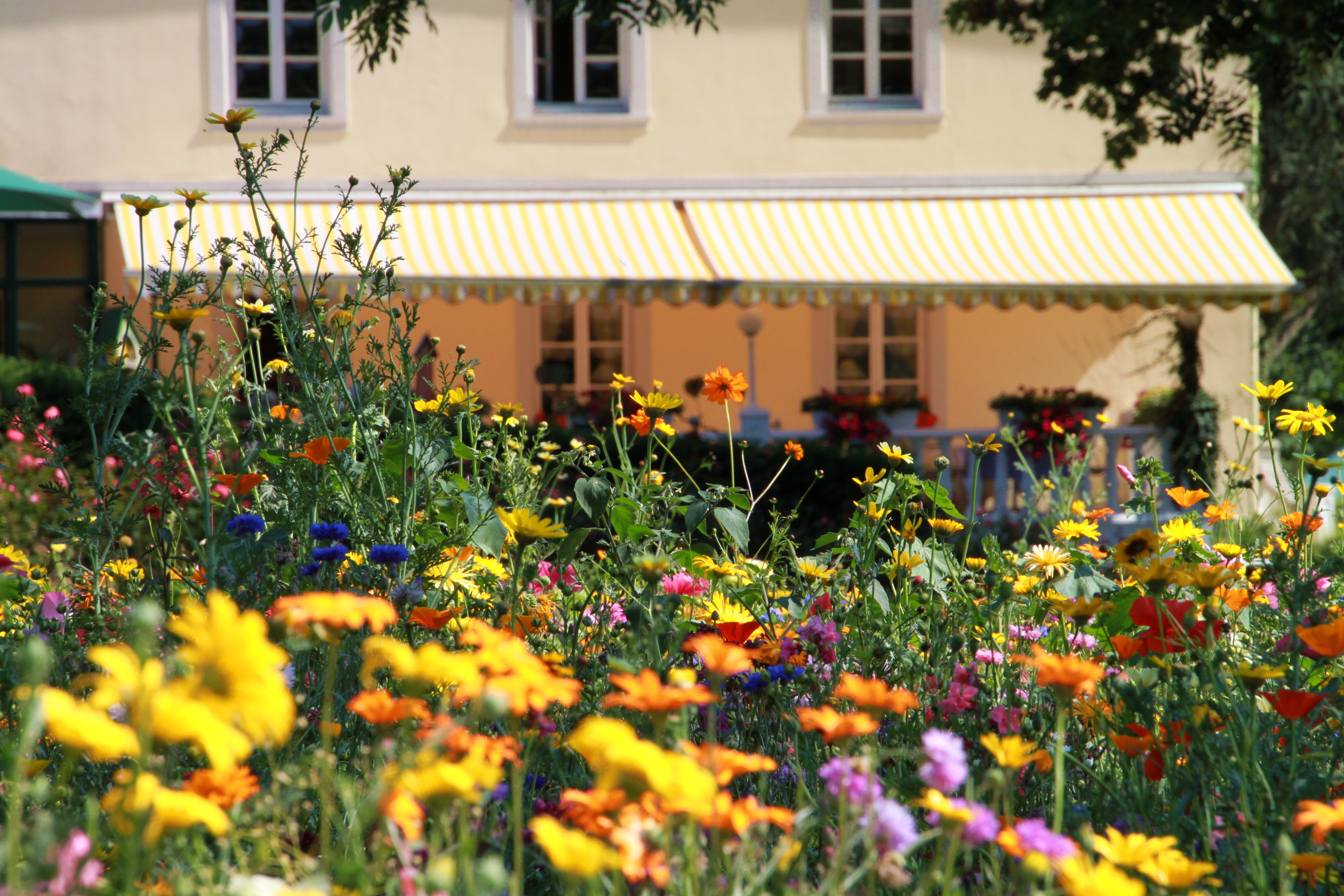 Sommerfrische