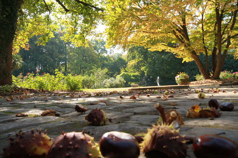 Herbstlich eingestimmt